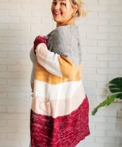 Bring the Warmth Color Block Cardigan Ave Shops